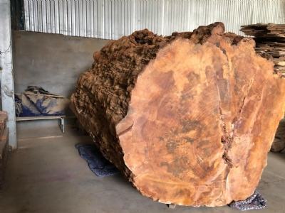 Gõ đỏ Nigeria nu chun duy nhất chỉ có 1 khúc. Vân, chất đẹp miễn chê. Kính mời quý khách qua thẩm ạ. Lh holine: 0909377209/ 0988045958
